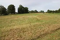 Photographie d'un champ avec une butte à l'arrière-plan et un bouquet d'arbres