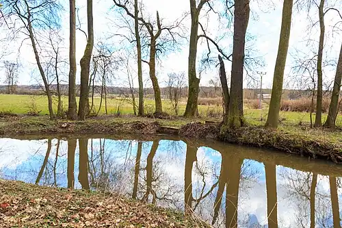 Javorka a Cidlina - Sběř.