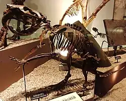 Castor géant du Nebraska, 2,5 mètres de haut.