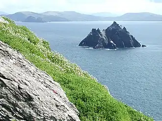 Little Skellig vue depuis Skellig Michael.