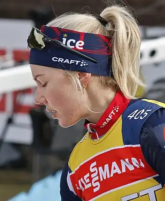 Image illustrative de l’article Marit Ishol Skogan