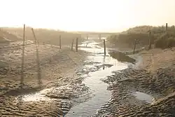Un des trois grands ravins appartenant au pré-salé, créés par le bris de dune. Vue du « polder » vers la mer.