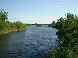 Vue d'une rivière bordée d'arbres