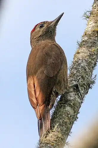 Description de cette image, également commentée ci-après