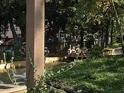 Smoky Mountain River Rampage à Dollywood