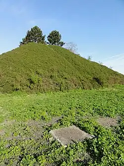 Le puits dans son environnement.