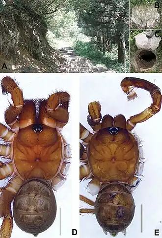 Description de cette image, également commentée ci-après