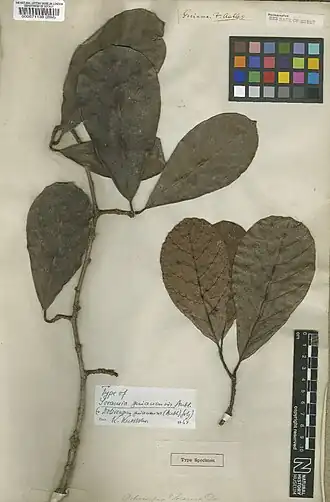 Description de cette image, également commentée ci-après