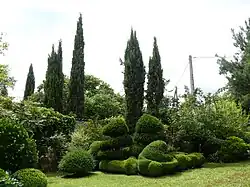 Topiaires dans les jardins de la Maillonnerie.