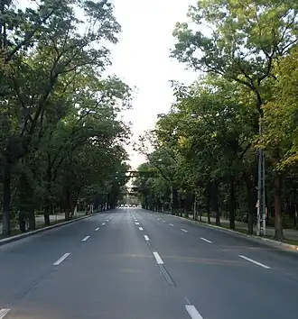 Image illustrative de l’article Chaussée Kiseleff