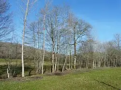 La vallée de la Soue au niveau de la RD 67, à Sainte-Orse.