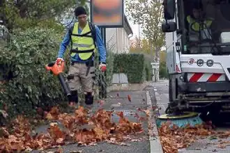 Souffleur électrique.