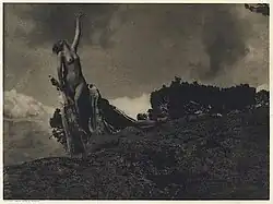 Soul of the Blasted Pine (1909) - Yale Visual Resources Collection