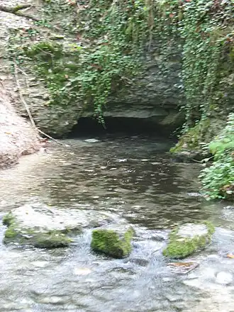 Source de la Coquille