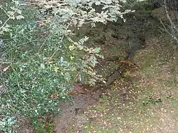 La source de la Creuse.