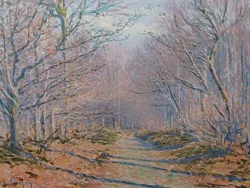 Sous-bois en automne.