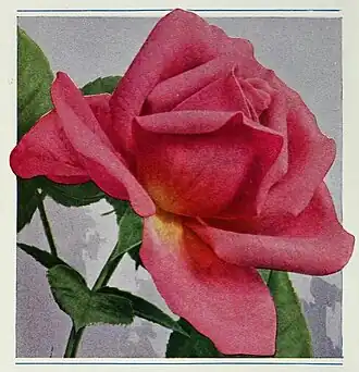 Image illustrative de l’article Souvenir de Georges Pernet