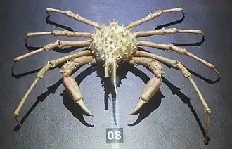 Description de cette image, également commentée ci-après