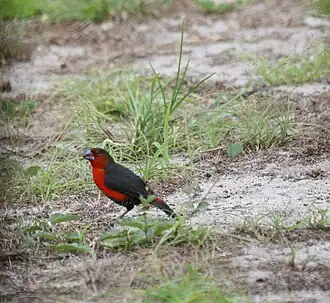 Description de cette image, également commentée ci-après
