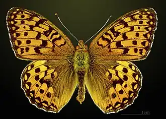 Description de cette image, également commentée ci-après