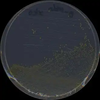 Description de cette image, également commentée ci-après