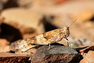 Description de cette image, également commentée ci-après
