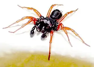 Description de cette image, également commentée ci-après