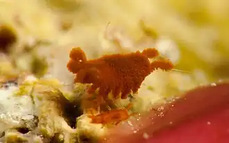 Description de cette image, également commentée ci-après