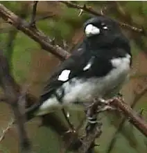 Description de cette image, également commentée ci-après