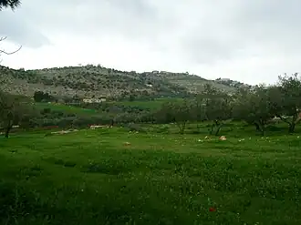 Printemps en Jordanie en mars 2007.