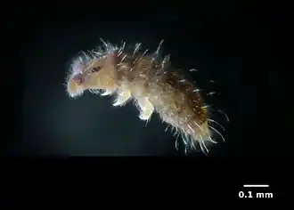 Description de cette image, également commentée ci-après