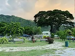 Le square Benjamin Bambridge.