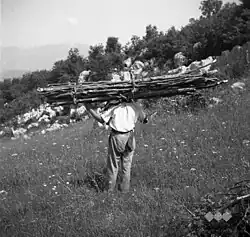 Robidišče&nbsp;(en), juin 1951