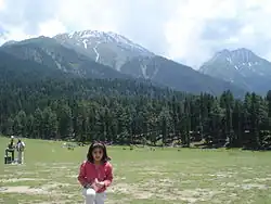 Paysage de la vallée de Pahalgam, dans la vallée du Cachemire.