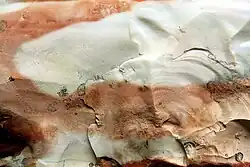 Gros plan sur un quartz, centre blanc cerné de brun, Musée de Petra