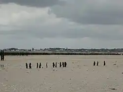 Saint-Cast-le-Guildo de la côte d'Émeraude en Bretagne.