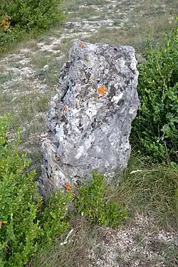Menhir des Barasques no 1