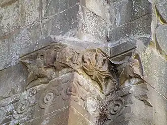 Feuilles de vigne et de figuier.