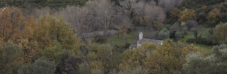 Vue aérienne d'une petite église entourée d'arbres.