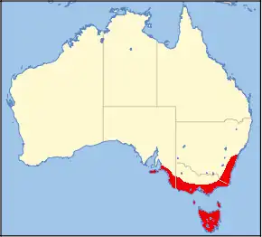 Description de l'image Stagonopleura bella range.png.