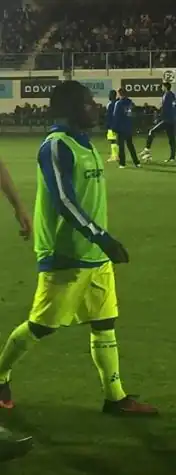 Image illustrative de l’article Stallone Limbombe