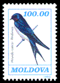 Hirondelle rustique sur un timbre de Moldavie.
