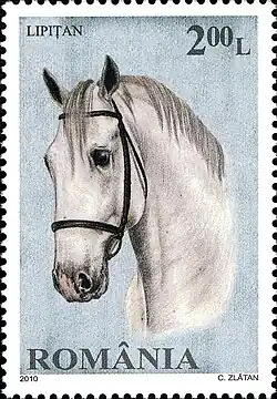 Timbre avec une tête de cheval blanc, bridé