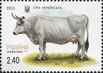 Image illustrative de l’article Gris ukrainien