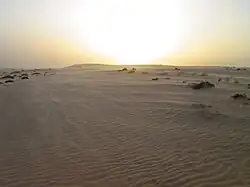 Photographie d'un désert balayé par le vent.