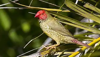 Description de cette image, également commentée ci-après