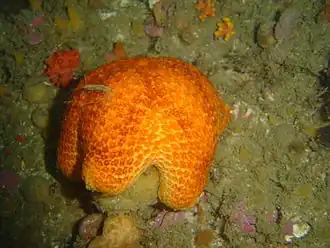 Description de cette image, également commentée ci-après