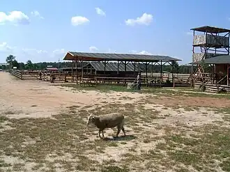 Starkowo (Grande-Pologne)