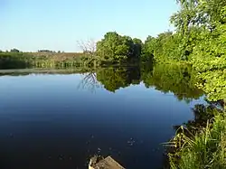 Étang dans le raïon de Staroïe Chaïgovo.