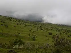 Prairie de l'île de Maui (Hawaï)